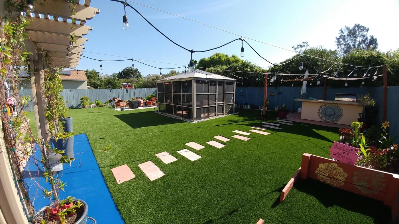 Garden lawn with stepping stones