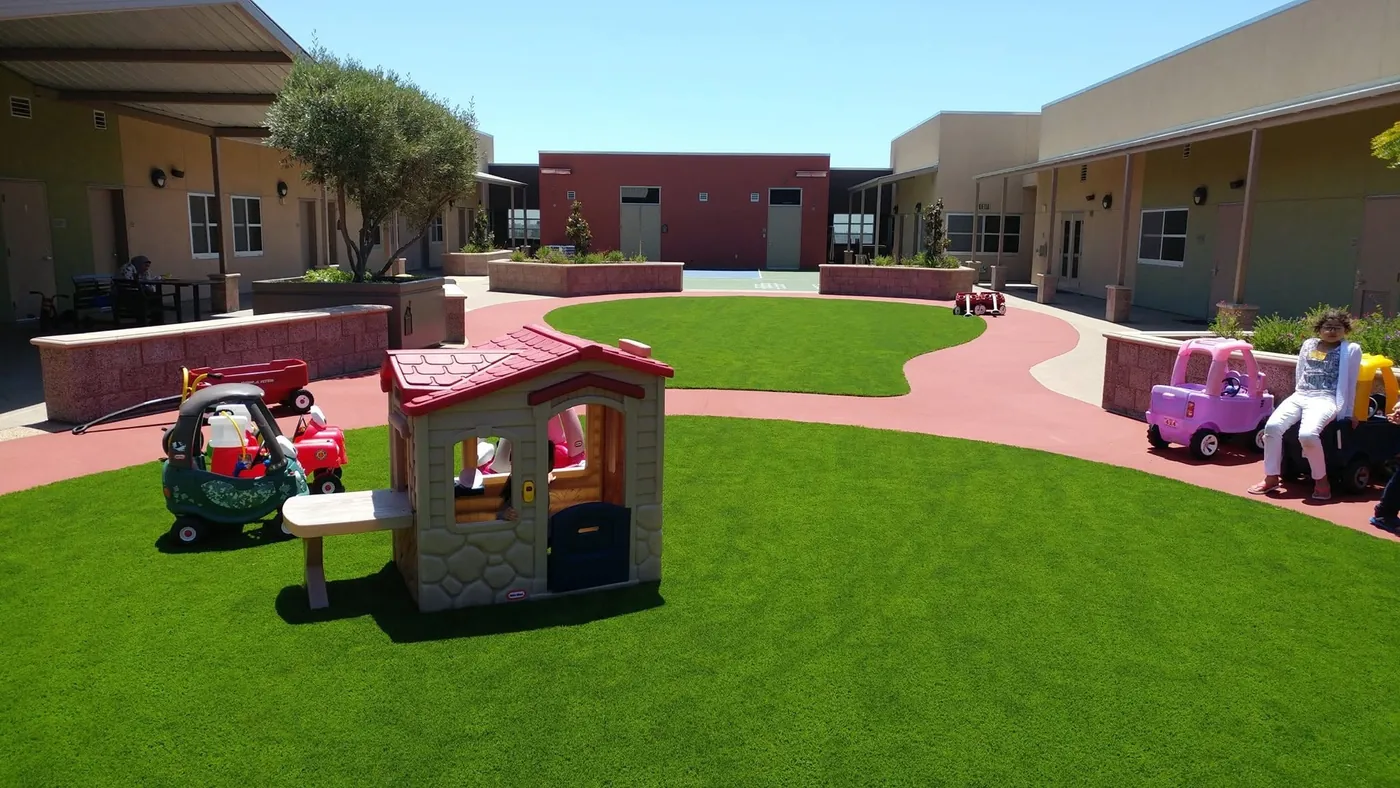 Family & Pet Turf artificial turf project